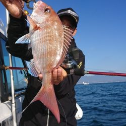 遊漁船 家入 釣果