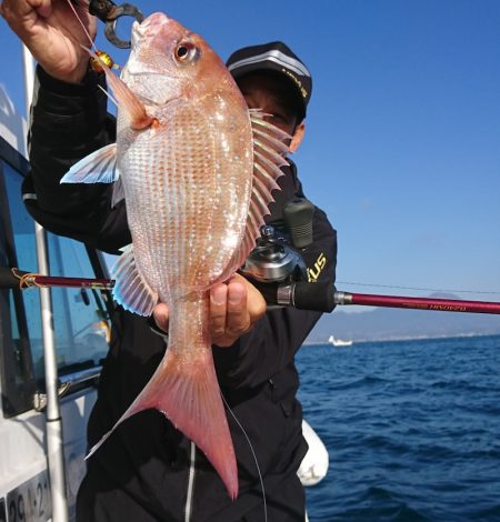 遊漁船 家入 釣果