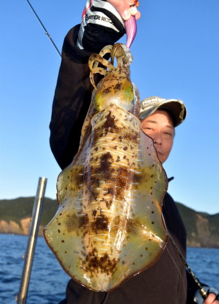 渡船屋たにぐち 釣果