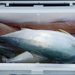 海龍丸(石川) 釣果