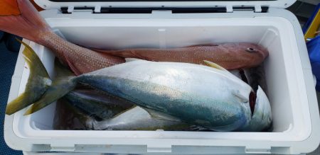 海龍丸(石川) 釣果