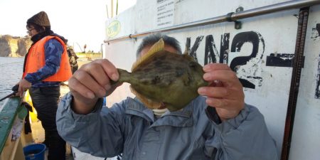 島きち丸 釣果