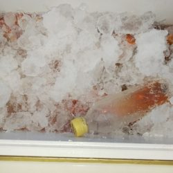 第二龍勢丸 釣果