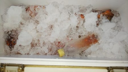 第二龍勢丸 釣果