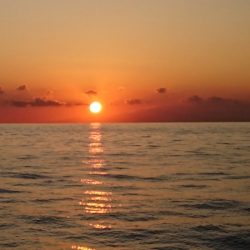 第三共栄丸 釣果