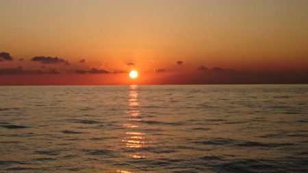 第三共栄丸 釣果