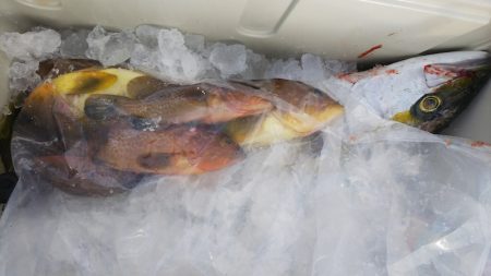 第二龍勢丸 釣果