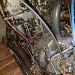 第二ゆず丸 釣果