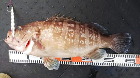 第二龍勢丸 釣果