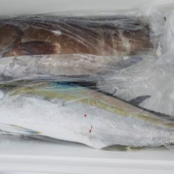 第二龍勢丸 釣果