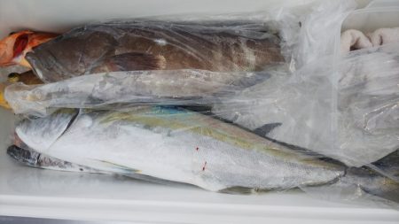 第二龍勢丸 釣果