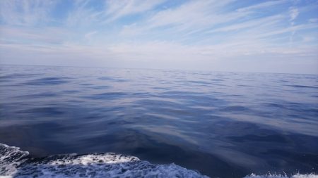 第二龍勢丸 釣果