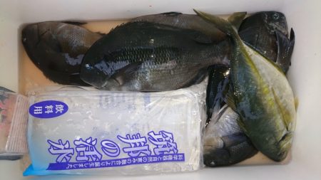 千津丸 釣果