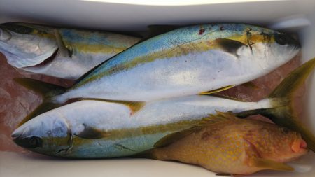 第二龍勢丸 釣果