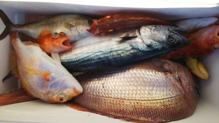 第二龍勢丸 釣果