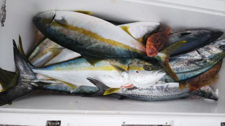 第二龍勢丸 釣果