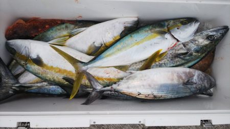 第二龍勢丸 釣果