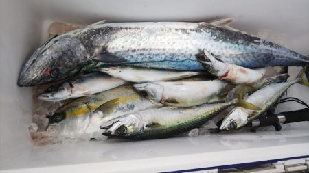 第二龍勢丸 釣果