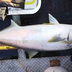 第二龍勢丸 釣果