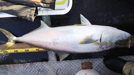 第二龍勢丸 釣果