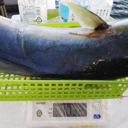 第二龍勢丸 釣果