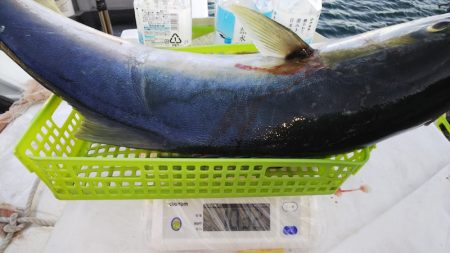 第二龍勢丸 釣果