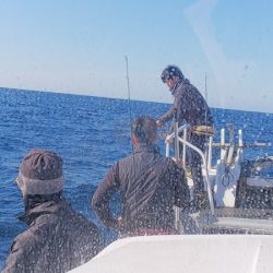 第二龍勢丸 釣果