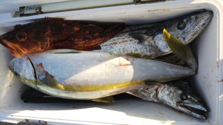 第二龍勢丸 釣果