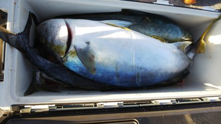 第二龍勢丸 釣果