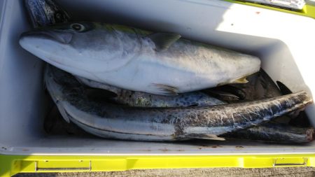 第二龍勢丸 釣果