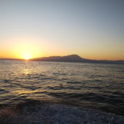 第二龍勢丸 釣果