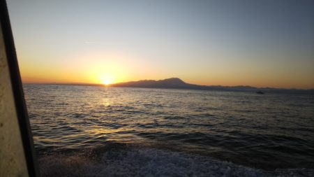 第二龍勢丸 釣果