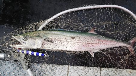 第二龍勢丸 釣果