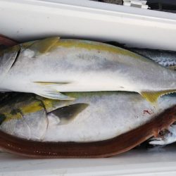 第二龍勢丸 釣果