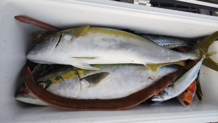 第二龍勢丸 釣果