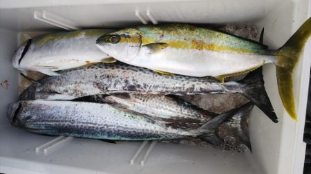 第二龍勢丸 釣果