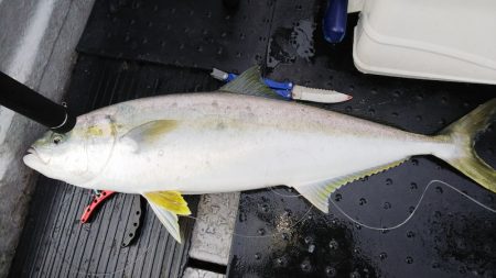 第二龍勢丸 釣果