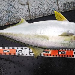 第二龍勢丸 釣果