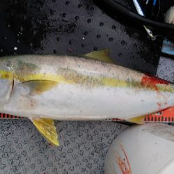 第二龍勢丸 釣果