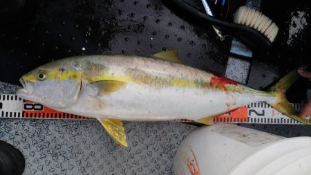 第二龍勢丸 釣果