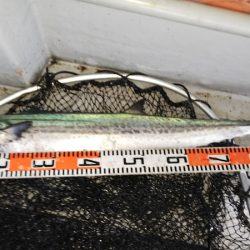 第二龍勢丸 釣果