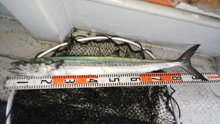 第二龍勢丸 釣果