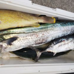 第二龍勢丸 釣果