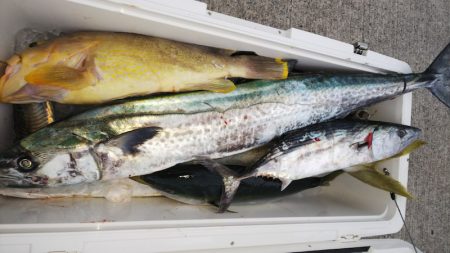 第二龍勢丸 釣果