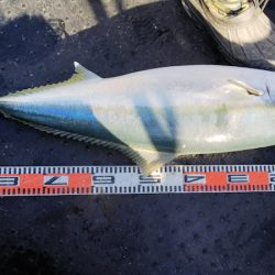 第二龍勢丸 釣果