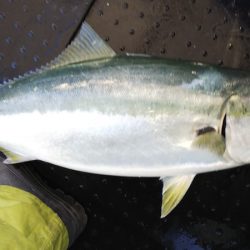 第二龍勢丸 釣果