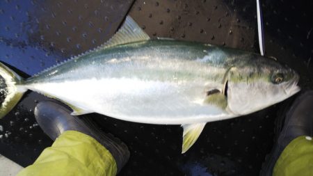 第二龍勢丸 釣果