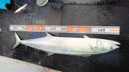 第二龍勢丸 釣果