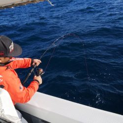 第二龍勢丸 釣果