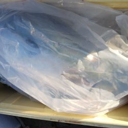 第二龍勢丸 釣果